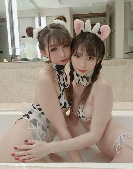 杨家将电视剧85版免费观看30集