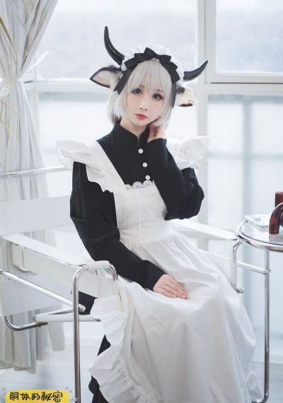 继承者