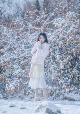 雪中第二部50集免费播放